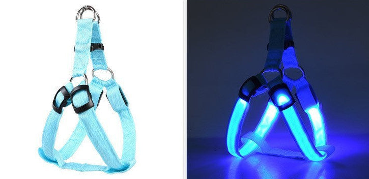 Night Walk Safety Bundle