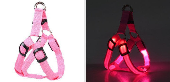 Night Walk Safety Bundle