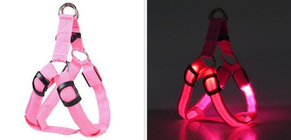 Night Walk Safety Bundle