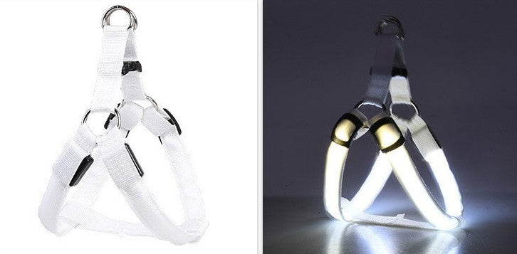 Night Walk Safety Bundle