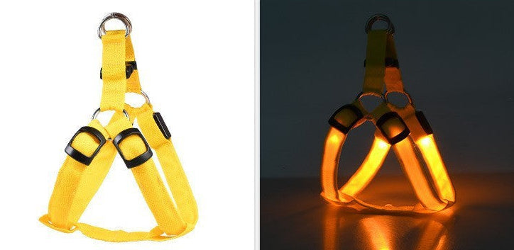 Night Walk Safety Bundle