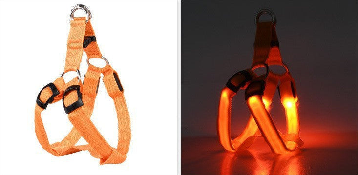 Night Walk Safety Bundle