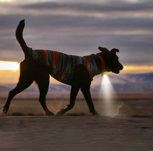 Night Walk Safety Bundle