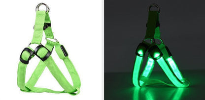 Night Walk Safety Bundle